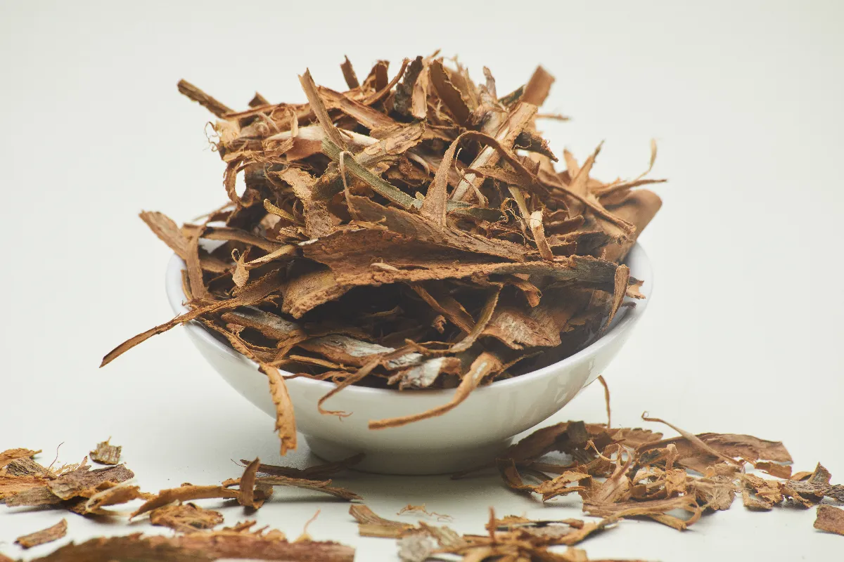 Écorce cannelle non grattée